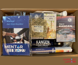 KIT de PRESENTACIÓN de NEGOCIO Mentor 6A2-3﻿