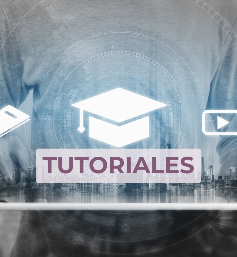 00. ¿CÓMO USAR LA WEB?